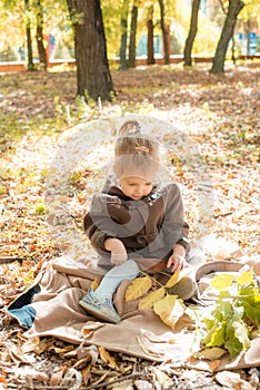 Little cute girl in a brown autumn coat in a sunny autumn park among yellow leaves. Autumn walk in the park