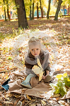 Little cute girl in a brown autumn coat in a sunny autumn park among yellow leaves. Autumn walk in the park