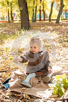 Little cute girl in a brown autumn coat in a sunny autumn park among yellow leaves. Autumn walk in the park