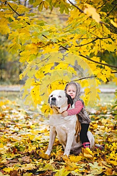 Little cute girl child and her Saint Bernard dog posing in autumn leaves