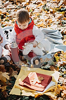 Little cute girl drinks tea from a thermos in the autumn park. Cute little toddler baby with thermos and cup