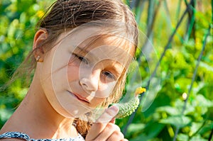 Little cute girl with a long braid, eating a cucumber plucked from the garden