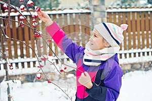 Little cute girl trying to taste red berries under snow on tree