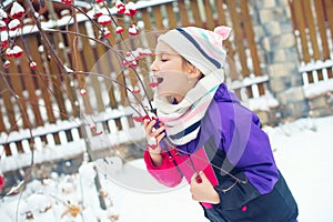 Little cute girl trying to taste red berries under snow on tree