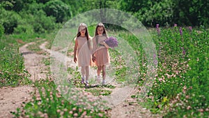 Little cute identical twin sisters with long hair walking together holding hands at road in dresses at sunny nature in grass and