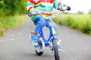 Little cute kid boy on bicycle on summer or autmn day. Healthy happy child having fun with cycling on bike.