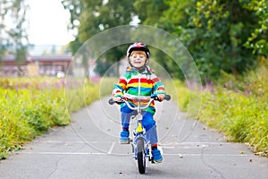 Little cute kid boy on bicycle on summer or autmn day. Healthy happy child having fun with cycling on bike.