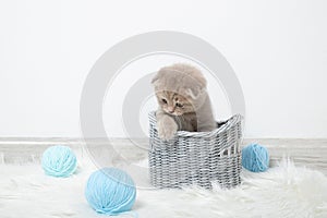 Little cute kitten in a basket with balls of thread on a white background. Cute ginger kitten