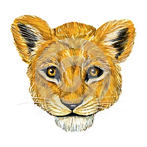 Little cute lion baby portrait. Animals queen