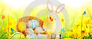 Little cute newborn baby chick for Easter celebration