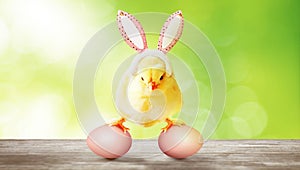 Little cute newborn baby chick for Easter celebration