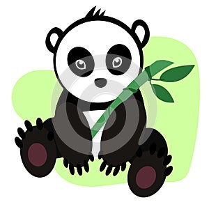 Little cute panda