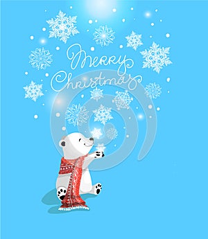 Little cute polar bear with red scarf and gift on blue bacjground with snowflake