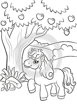Little cute pony stands under the apple tree.