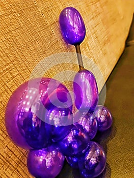 The little cute purple doggie balon photo