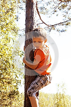 Little cute real boy climbing on tree hight, outdoor lifestyle c