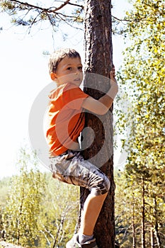 Little cute real boy climbing on tree hight, outdoor lifestyle c photo