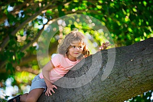 Little cute toddler boy Child having fun and climbing on tree in summer forest.