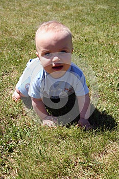 Little Cutie in Grass photo