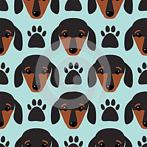 Little dachshund puppy head seamless pattern dog young pedigreed animal breed vector illustration