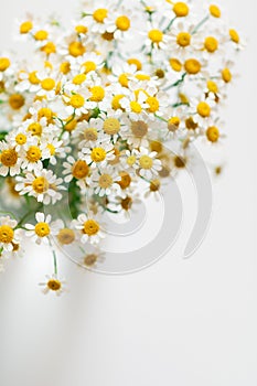 Little daisy flowers bouquet over white