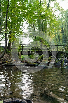 Little dam infront of an old bridge over a little creek or forest brook with a big branch in the water and rocks with foliage