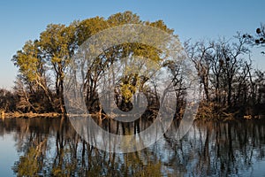 Little Danube and a forest, Malinovo