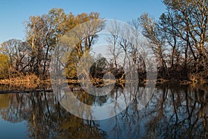 Little Danube and a forest, Malinovo