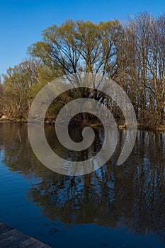 Little Danube river and trees, Slovakia