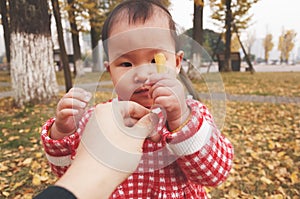 Little daughter take golden leaf of father hand at autumn