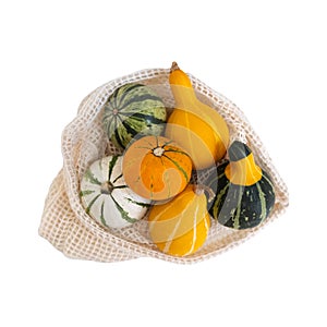 Little decorative bright yellow, orange, green pumpkin in cotton net eco-friendly bag