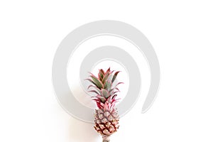 Little decorative pink pineapple