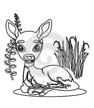 Little deer coloring page