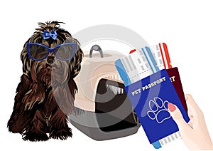 Little dog in the airline cargo pet carrier waiting at the airport. Isolated on a white background. vector illustration.