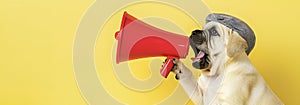 Little dog announcing using megaphone. Notifying, warning, announcement photo