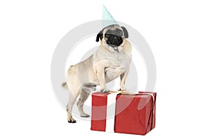 A little dog, with a festive cap on his head, stands leaning on red gift box. Isolated on white background.