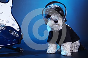 Little dog with headphones and guitar