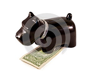 Little dog moneybox photo