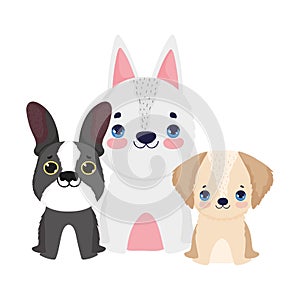 Little dogs sitting friendly domestic cartoon pets