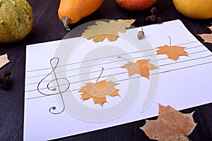 Little dry maple leaves on music staff