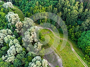 Little dusty path in the deep forest from aerial view