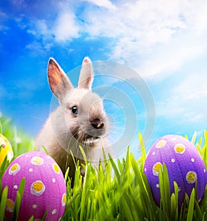 Little Easter bunny and Easter eggs on green grass