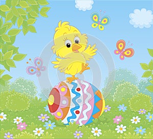 Little Easter Chick on a decorated egg