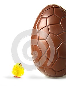 Little easter chick looking up at chocolate egg