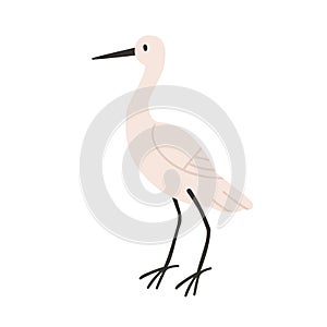 Little egret profile. Aquatic African bird with white plumage, long beak. Wild feathered animal standing. Savannah fauna