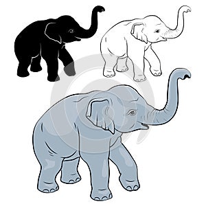 Little Elephant is Funny - vector illustration