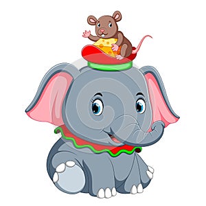 A little elephant play with a cute mouse on hat