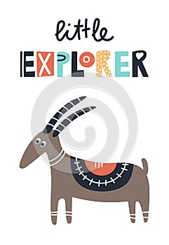 Little explorer - Cute kids hand drawn nursery poster with goat animal and lettering. Color vector illustration.