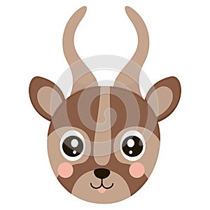 Little face of cartoon bongo antelope with ruddy cheeks on a white background. Isolated head of horned African animal for icon, lo