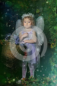 Little fairy